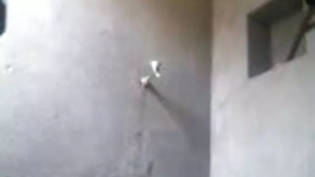 केवल कितना मुर्गा हिंदी पिक्चर सेक्सी मूवी एचडी ले सकता है? 24