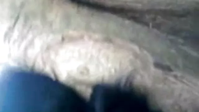 सुनहरे बालों वाली हो जाता है हिंदी में सेक्सी मूवी पिक्चर लाइव शो में