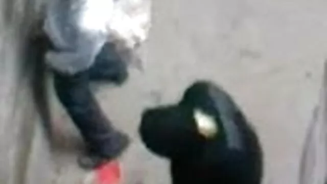एक युवा हिंदी सेक्सी वीडियो मूवी जापानी महिला के साथ बीडीएसएम