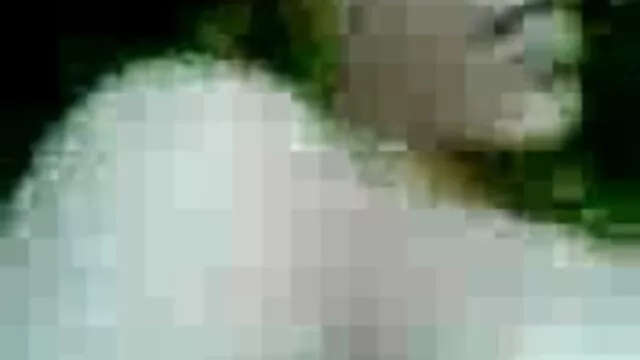 सफेद मुर्गा फ़ीड काले बीएफ सेक्सी पिक्चर मूवी गधा
