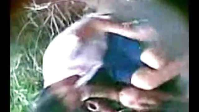 लेक्सी उसे तंग गीला हिंदी मूवी सेक्सी पिक्चर बिल्ली और गधे के साथ खेलता है