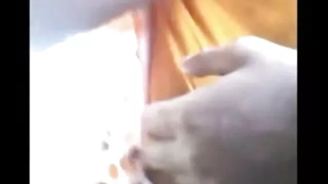 स्टार Staxx सेक्सी पिक्चर फुल एचडी मूवी है भाड़ में जाओ