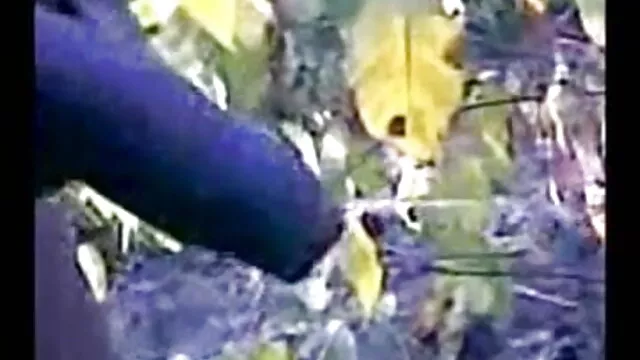 शारीरिक और यौन रूप से हिंदी पिक्चर सेक्सी मूवी एचडी नष्ट हो गया