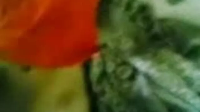 पुरुषों और बीपी सेक्सी हिंदी मूवी धान O ' Brian