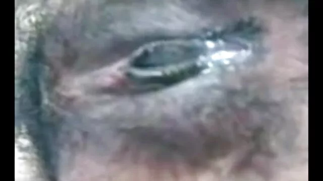 नारुतो हेनतई-सपना हिंदी सेक्सी फिल्म मूवी के साथ सुनामी