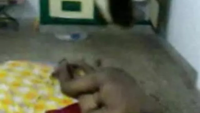 बड़े स्तन हेनतई नौकरानी सवारी लोग मुश्किल सेक्स पिक्चर फुल मुर्गा