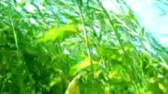 उच्च गुणवत्ता-प्यारा आदमी अपने मुर्गा बंद मरोड़ते हिंदी पिक्चर सेक्सी मूवी एचडी हो जाता है