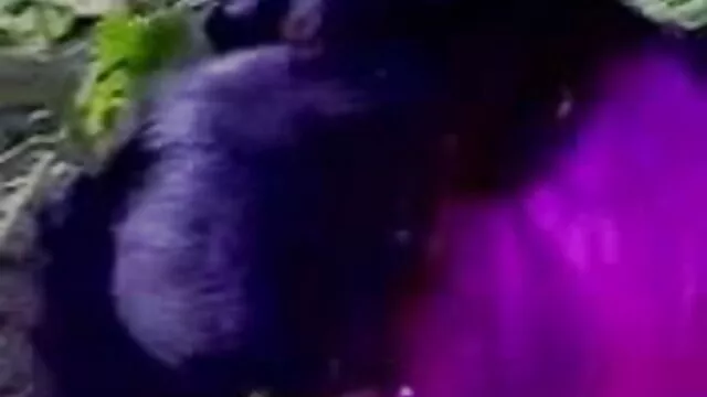 हेनतई लड़की बेकार है सेक्सी पिक्चर मूवी सेक्सी पिक्चर मूवी और रेड