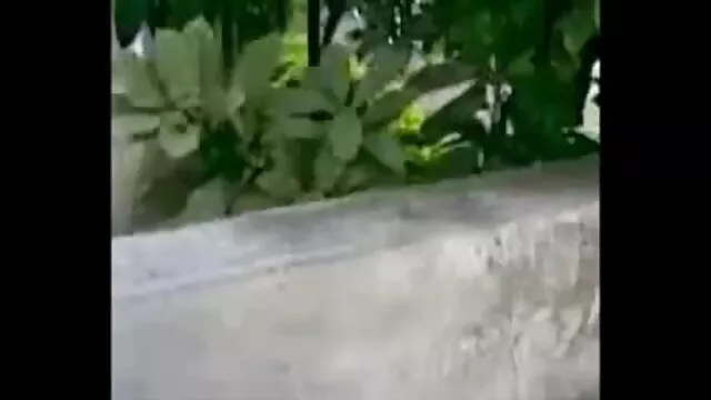 प्यारा रेड इंडियन किन्नर कैम सेक्सी मूवी वीडियो दिखाएं शो