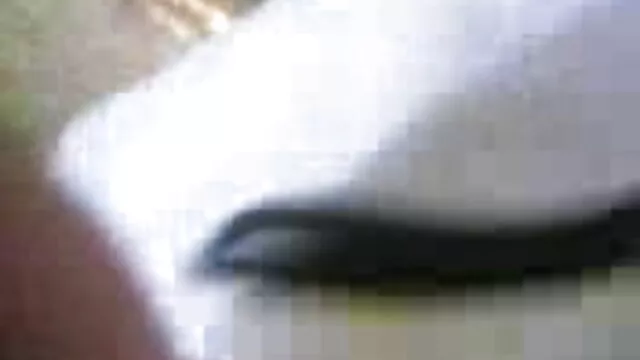 गुदा, डी पी इ डी ब्लू पिक्चर सेक्सी फुल मूवी और सह पर शहद